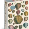 Övriga Artisan Puzzles: John Derian - Shells (1000)