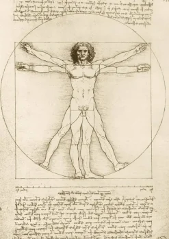 Bluebird Puzzle : Da Vinci - The Vitruvian Man, 1490 (1000)