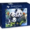 Bluebird Puzzle : Panda Family (1000)