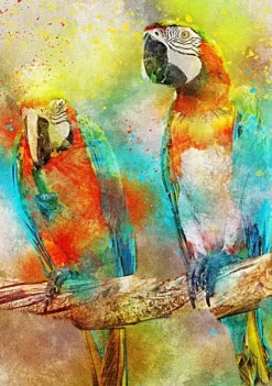 Bluebird Puzzle : Parrots (1000)