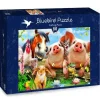 Bluebird Puzzle : Petting Farm (500)
