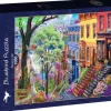 Bluebird Puzzle : Spring Hill (1000)