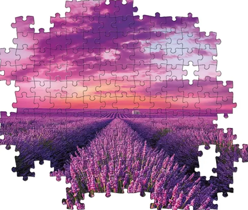 Clementoni : Lavender Field (1000)