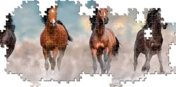 Clementoni : Panorama - Horses (1000)