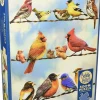 Cobble Hill : Birds on a Wire (500)