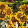 Cobble Hill : Country Paradise (500)