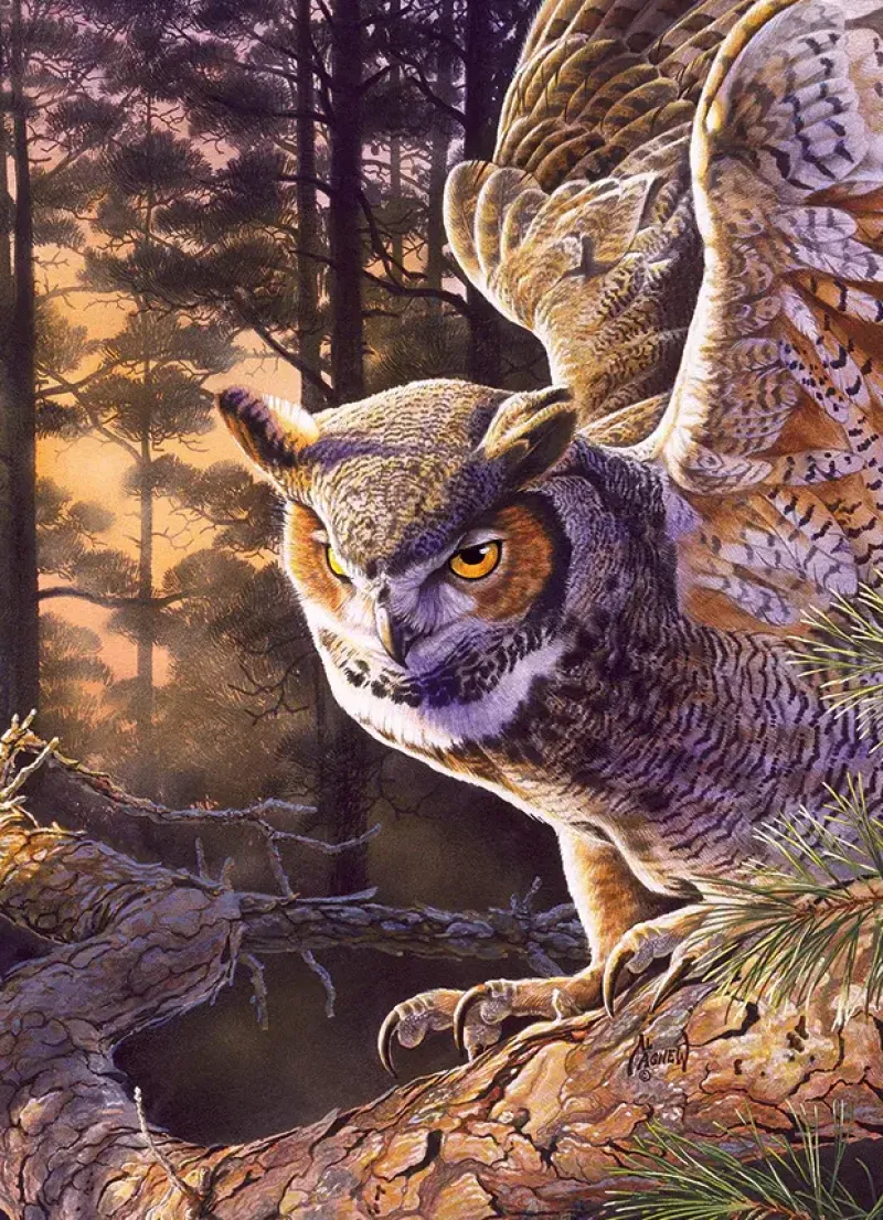 Cobble Hill : Evening Hunter (1000)