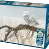 Cobble Hill : Fallen Willow Snowy Owl (500)