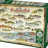Cobble Hill : Freshwater Fish of North America (1000)