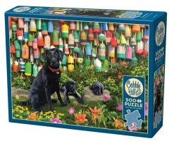 Cobble Hill : Good Buoys (500)