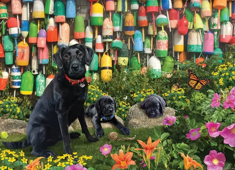 Cobble Hill : Good Buoys (500)