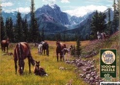 Cobble Hill : Horse Meadow (1000)