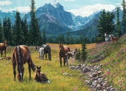 Cobble Hill : Horse Meadow (1000)