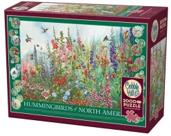 Cobble Hill : Hummingbirds of North America (2000)