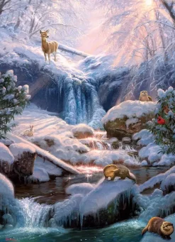 Cobble Hill : Mystic Falls in Winter (1000)