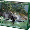 Cobble Hill : Orcas (1000)