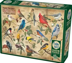Cobble Hill : Popular Backyard Wild Birds of North America (1000)