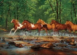 Cobble Hill : Spring Creek Run (1000)
