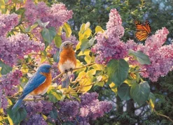 Cobble Hill : Spring Interlude (500)