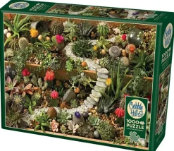 Cobble Hill : Succulent Garden (1000)