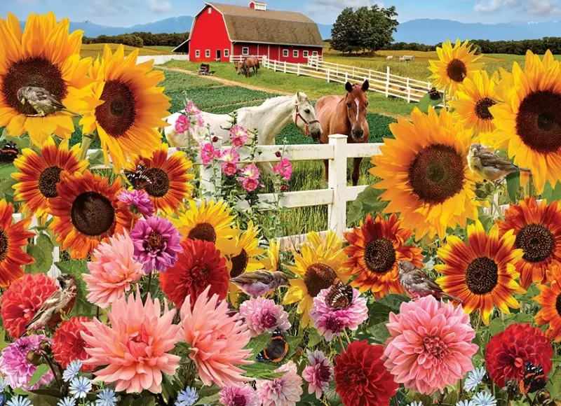 Cobble Hill : Sunflower Farm (1000)
