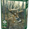 Cobble Hill : White-Tailed Deer (1000)