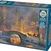 Cobble Hill : Winter in the Park (500)