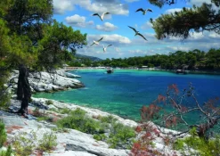 D-Toys : Discover Europe - Corfu (1000)