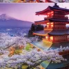 Educa : Mount Fuji, Japan (2000)