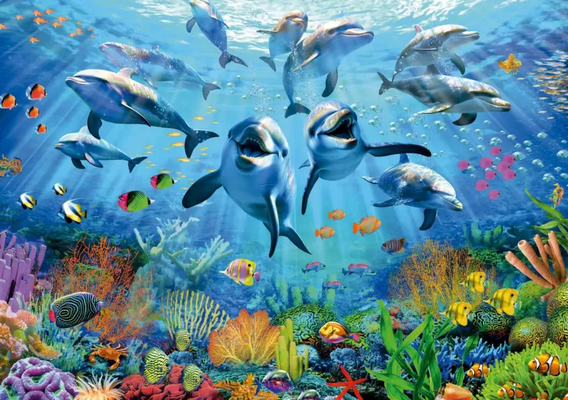 Educa : Party Under the Sea (500)