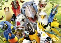 Educa : Watch the Birdie (500)