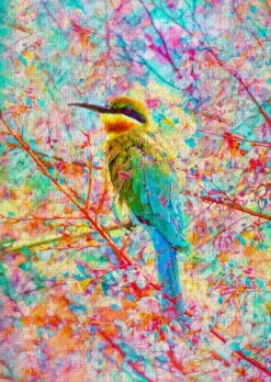 Enjoy : Happy Bird (1000)