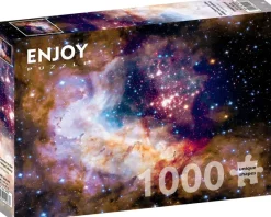 Enjoy : Star Cluster in the Milky Way Galaxy (1000)