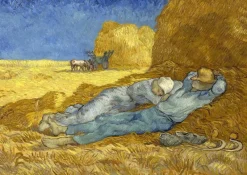 Enjoy : The Siesta, Vincent Van Gogh (1000)