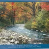 EuroGraphics : Forest Stream (1000)