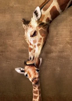 EuroGraphics : Giraffe Mother's Kiss (1000)
