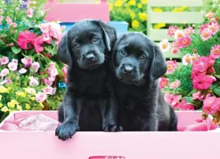 EuroGraphics : Large Pieces - Black Labs in Pink Box (500)