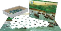 EuroGraphics : Save Our Planet Collection - Rain Forest (1000)