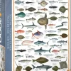 EuroGraphics : Sea Fish (1000)