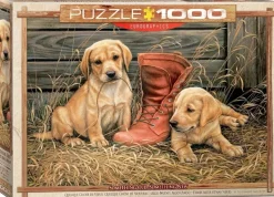 EuroGraphics : Something Old, Something New (1000)