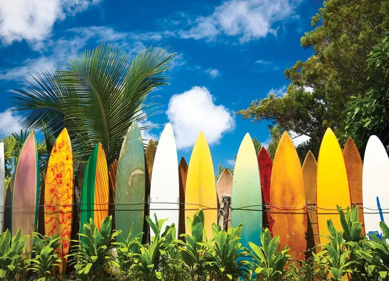 EuroGraphics: Surfer's Paradise Hawaii, USA (1000)