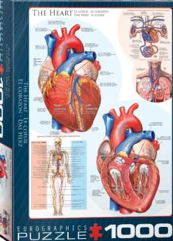 EuroGraphics : The Heart (1000)