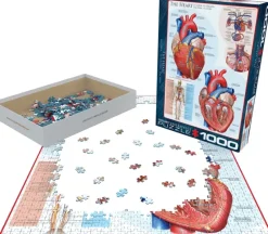 EuroGraphics : The Heart (1000)
