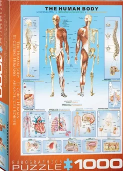 EuroGraphics : The Human Body (1000)