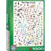 EuroGraphics : The Tree of Life (1000)