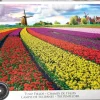 EuroGraphics : Tulip Fields (1000)