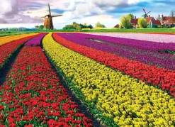 EuroGraphics : Tulip Fields (1000)