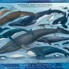 EuroGraphics : Whales & Dolphins (1000)