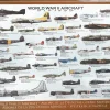 EuroGraphics : World War II Aircraft (1000)