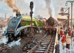 Gibsons : David Noble - Spotters at Doncaster (1000)
